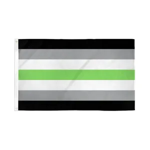 Flags Importer 3' x 5' Agender Pride Flag