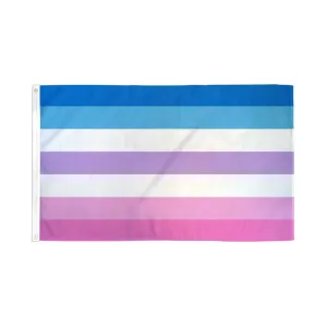 Flags Importer 3' x 5' Bigender Pride Flag